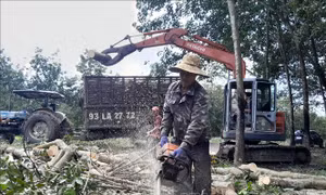 Tăng tốc sớm giải phóng mặt bằng dự án cao tốc Gia Nghĩa - Chơn Thành