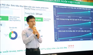 Phát triển chăn nuôi gắn với truy xuất nguồn gốc và liên kết tiêu thụ