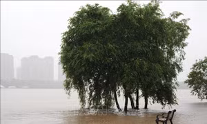 Trung Quốc: Sạt lở đất tại Trùng Khánh làm 11 người thiệt mạng, 50 người mất tích