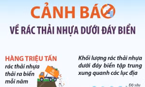 Cảnh báo về rác thải nhựa dưới đáy biển