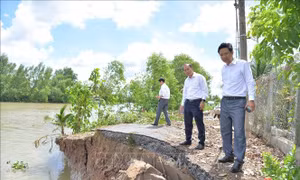 Triển khai các giải pháp cấp bách ứng phó với sạt lở bờ sông, nội đồng
