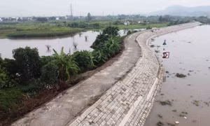 Ứng phó bão số 11: Hải Phòng trực 24/24 giờ, sẵn sàng bảo vệ hệ thống đê điều