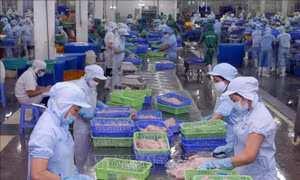 Điểm tin kinh tế Việt Nam nổi bật ngày 30/7/2026