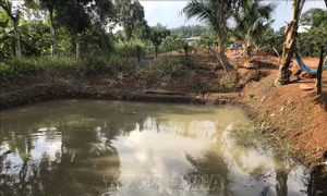 Trượt chân xuống hồ, hai trẻ đuối nước thương tâm