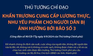 Thủ tướng chỉ đạo khẩn trương cung cấp lương thực, nhu yếu phẩm cho người dân bị ảnh hưởng bởi bão số 3