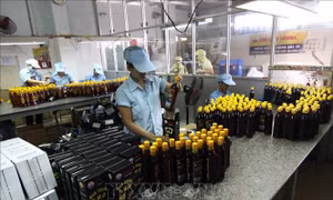 Khánh Hòa tìm vị trí phù hợp để di dời cơ sở sản xuất nước mắm ra xa khu dân cư