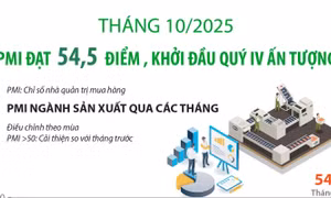 Tháng 10/2025: PMI đạt 54,5 điểm, ngành sản xuất Việt Nam khởi đầu quý IV ấn tượng