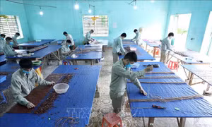 Cần có quy định về điều kiện hoãn, miễn chấp hành quyết định đưa vào cơ sở cai nghiện bắt buộc