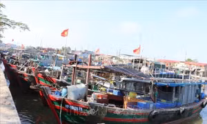 Hải Phòng chuyển biến tích cực trong chống khai thác IUU