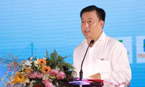 Phê chuẩn kết quả bầu chức vụ Phó Chủ tịch UBND tỉnh Đồng Tháp