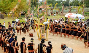 Tưng bừng lễ hội mừng lúa mới ở Bình Phước