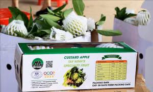 Đưa sản phẩm OCOP Tây Ninh vươn xa
