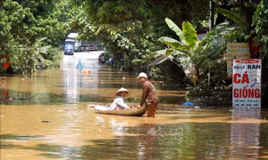Mưa lớn kèm dông lốc gây nhiều ảnh hưởng tại Lào Cai