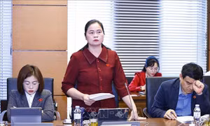 Chủ trương miễn phí sách giáo khoa là một bước tiến, thể hiện bản chất xã hội nhân văn