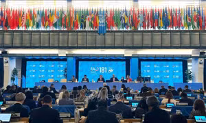 FAO: Việt Nam là ví dụ tiêu biểu trong việc triển khai hiệu quả hợp tác Nam - Nam