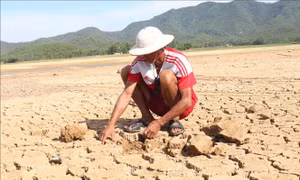 Nhiều hồ, đập Nghệ An xuống mực nước chết