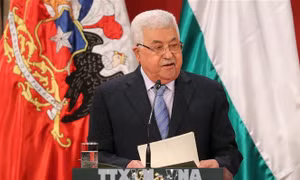 Palestine khẳng định duy trì mục tiêu xây dựng hòa bình với Israel