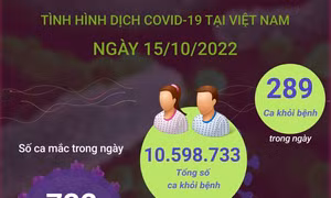 Ngày 15/10, thêm 732 ca mắc COVID-19