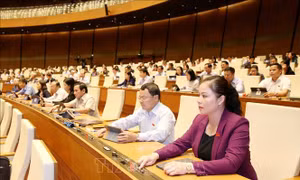 Kỳ họp thứ 8, Quốc hội khóa XIV: Thông cáo báo chí số 26