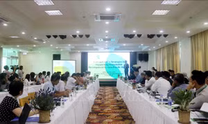 Khởi động Dự án Tăng cường năng lực sản xuất lúa phát thải thấp và bền vững ở Đông Nam Á