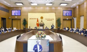 Bảo vệ quyền lợi người tiêu dùng trên không gian mạng