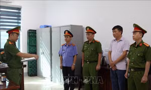 Vi phạm quản lý đất đai tại thị xã Cửa Lò: Khởi tố thêm ba đối tượng