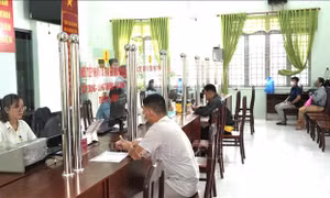 Tây Ninh bố trí việc làm cho 72 người trúng tuyển công chức xã