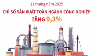 11 tháng năm 2025: Chỉ số sản xuất toàn ngành công nghiệp tăng 9,3%