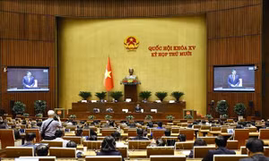 Kỳ họp thứ 10, Quốc hội khóa XV: Giải quyết dứt điểm các dự án tồn đọng kéo dài