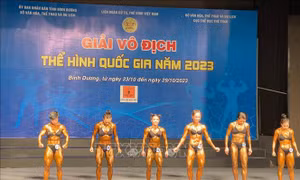 Vòng Chung kết vô địch Thể hình quốc gia