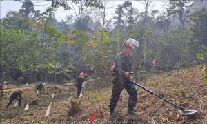 Nỗ lực rà phá bom mìn trên tuyến biên giới