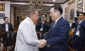 Chủ tịch Quốc hội Vương Đình Huệ thăm các đồng chí nguyên lãnh đạo cấp cao của Lào