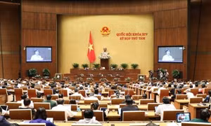 Nỗ lực xây dựng và hoàn thiện thể chế, tổ chức thi hành pháp luật