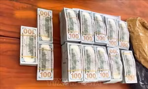 Bắt quả tang đối tượng vận chuyển trái phép hơn 530.000 USD qua biên giới
