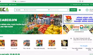 Ra mắt 'chợ online' nông sản, thực phẩm sạch