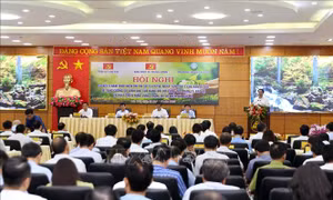 Nâng cao hiệu quả công tác quản lý, bảo vệ và phát triển rừng trong bối cảnh mới