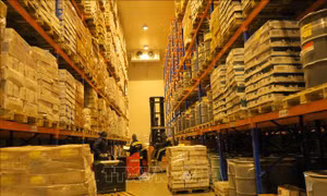 Bất động sản kho lạnh dự báo sẽ tăng trưởng 12%/năm