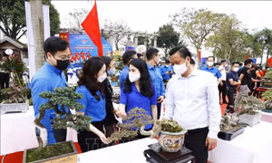 Tuổi trẻ Thủ đô tổ chức 'Ngày Đoàn viên' năm 2022