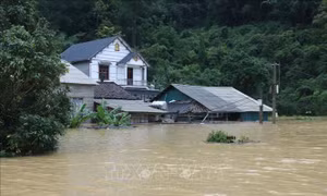 Bão số 4 ít di chuyển, giữ nguyên cường độ trên vùng biển phía Đông Bắc đặc khu Bạch Long Vĩ
