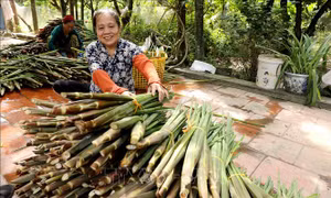 'Đặc sản' đồng quê dân dã, hút khách thị trường miền Bắc