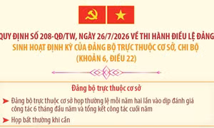 Quy định 208-QĐ/TW: Sinh hoạt định kỳ của đảng bộ trực thuộc cơ sở, chi bộ