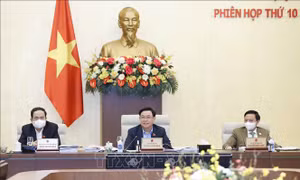  Ủy ban Thường vụ Quốc hội cho ý kiến về dự án Luật Dầu khí (sửa đổi)