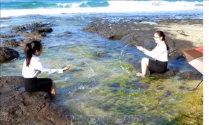 Bãi rêu xanh tuyệt đẹp bên bờ biển Lệ Thủy - Quảng Ngãi