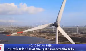40/40 dự án điện chuyển tiếp đề xuất giá tạm bằng 50% giá trần