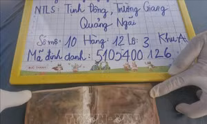Phát hiện di vật mang tên liệt sĩ Trần Văn Thanh trong quá trình lấy mẫu ADN