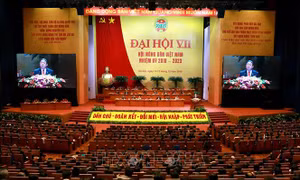 Ban Chấp hành Trung ương Hội Nông dân Việt Nam khóa VII có 119 ủy viên