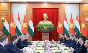 Tổng Bí thư Tô Lâm hội kiến Tổng thống Hungary Sulyok Tamás