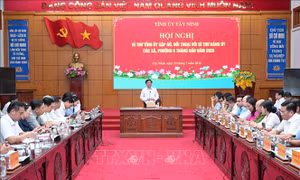 Tập trung giải quyết dứt điểm các vụ việc tồn đọng về đất đai