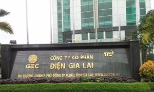 Công ty Nhật Bản chi 112 triệu USD để mua cổ phần của GEC Việt Nam