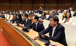 Để đất đai thành nguồn lực phát triển bền vững - Bài cuối: Chìa khóa khơi thông nguồn lực đất đai